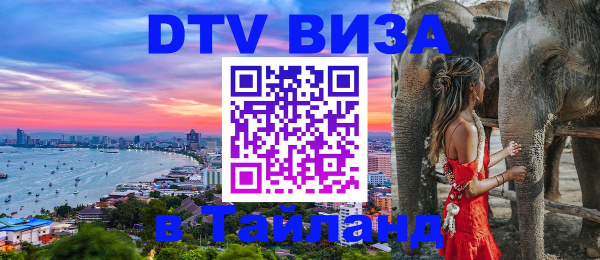 Оформление DTV визы под ключ: стоимость и тарифы, только загранпаспорт - 21.11.2025 